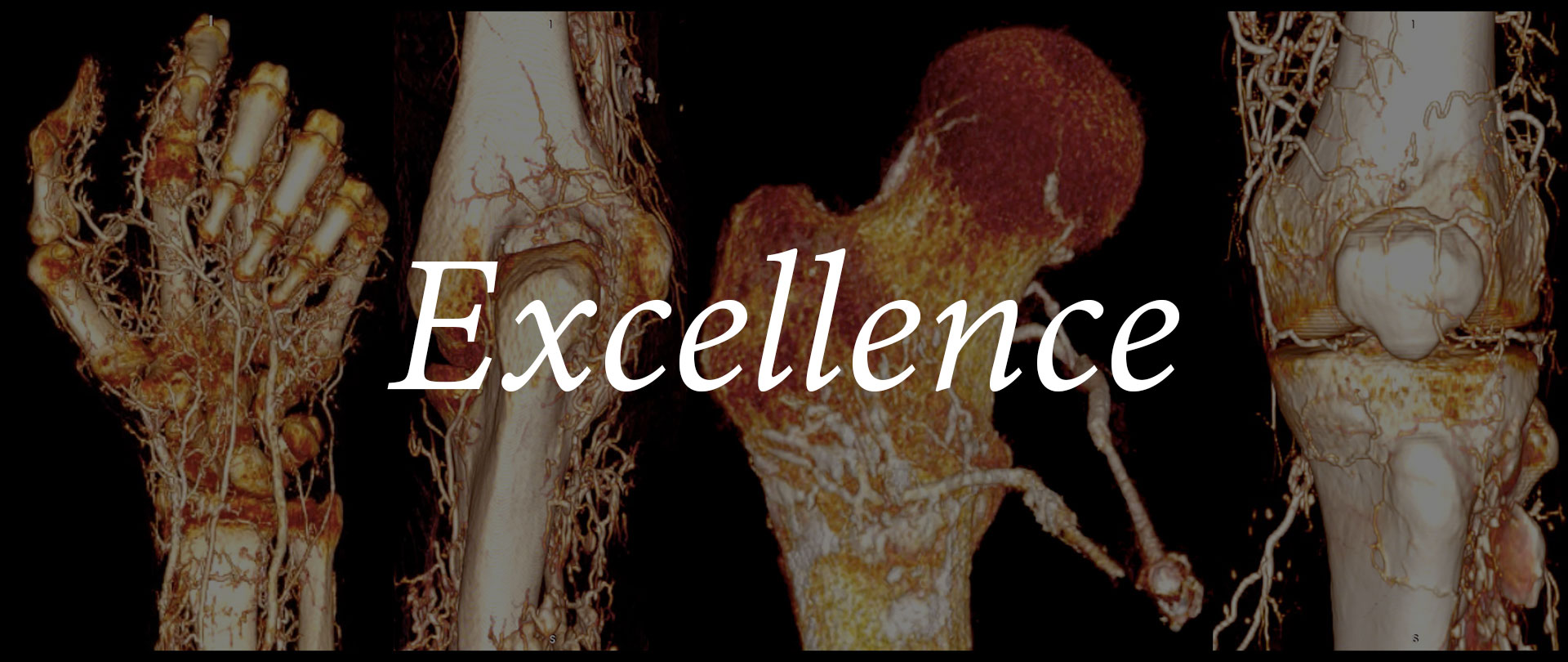 Excellence in patient care and research